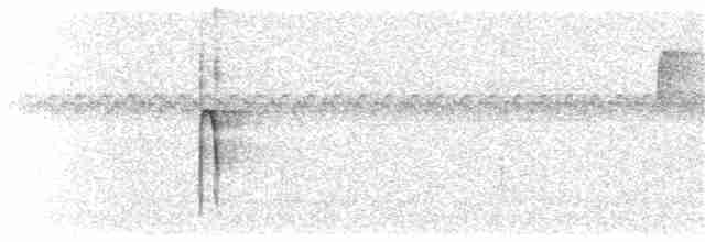 strakapoud americký [skupina villosus] - ML375348641