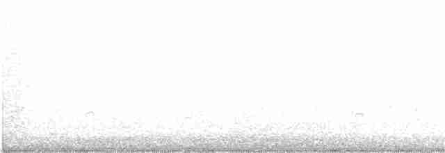 Bécasseau sanderling - ML375431401
