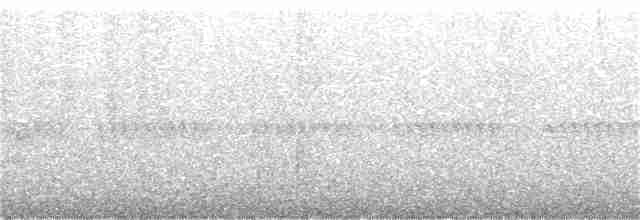 Гребенечуб андійський - ML375485401