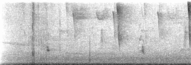 Дрізд-короткодзьоб плямистоволий - ML375495431