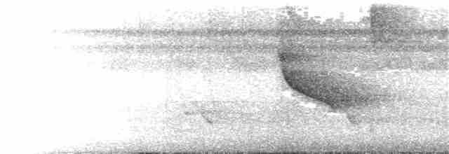 White-throated Shrike-Tanager - ML375503001