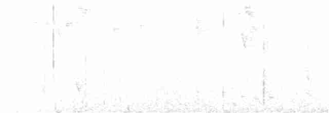 Kestane Karınlı Ardıç - ML375886511