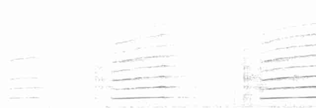 Plate-billed Mountain-Toucan - ML375889531