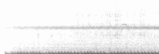 Coopmans's Elaenia - ML375891441