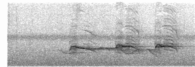 Тимелія-клинодзьоб чорновола - ML375917881