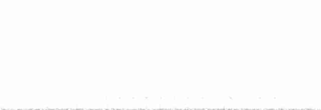 White-throated Nightjar - ML375965171