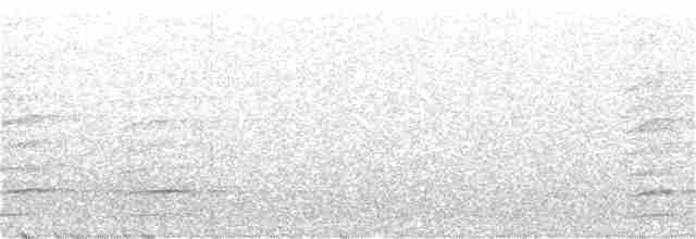 Plate-billed Mountain-Toucan - ML376108921