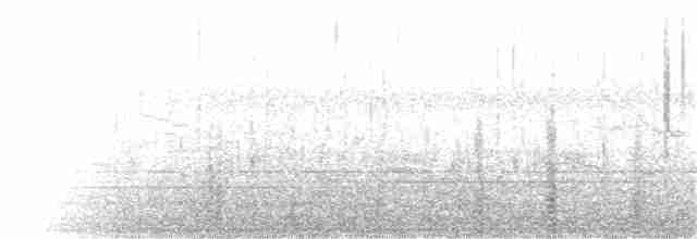 Крижень звичайний - ML376130161