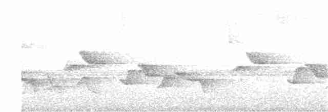 Серогрудый крапивник - ML37631571