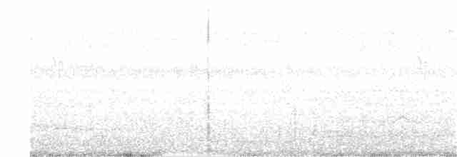 Graubrust-Ameisendrossel - ML37632131