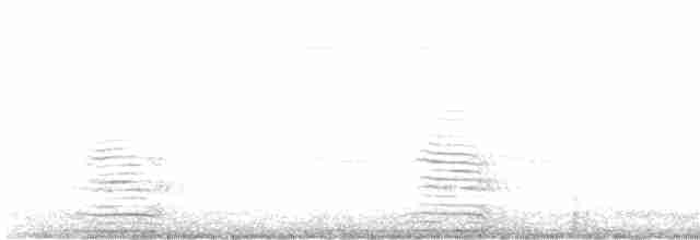 Сероголовая султанка - ML376331331
