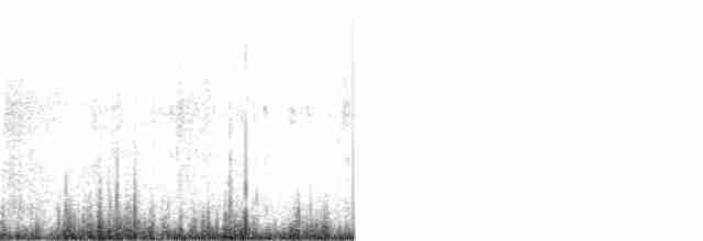 holoubek černokřídlý - ML376593771