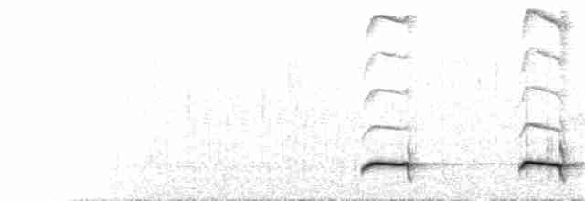 Weißflecken-Ameisenpitta - ML376717561