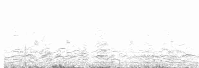 Малая канадская казарка (leucopareia) - ML376742621