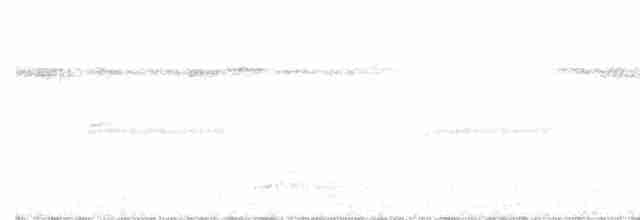 Pale-browed Tinamou - ML376864411