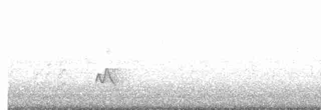 Прибрежный крапивник - ML376882441