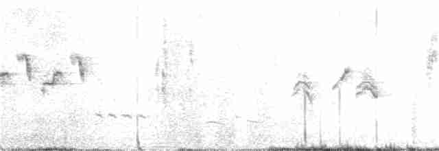 Скрытный ложнокрапивник - ML376917411