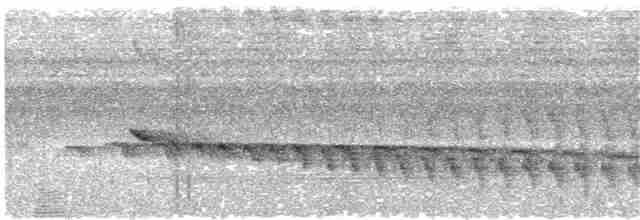 Grauband-Ameisenvogel - ML376928411
