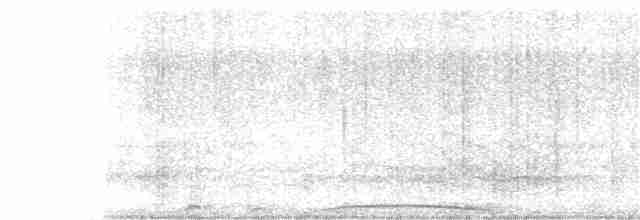holub šedočelý - ML376956121