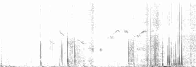 Скрытный ложнокрапивник - ML377386151