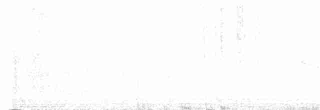 Lesser Goldfinch - ML377432801