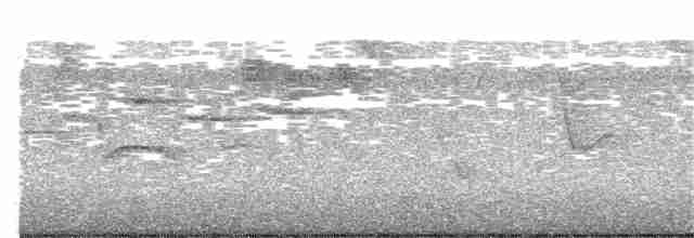 Graumantel-Brillenvogel - ML378107921
