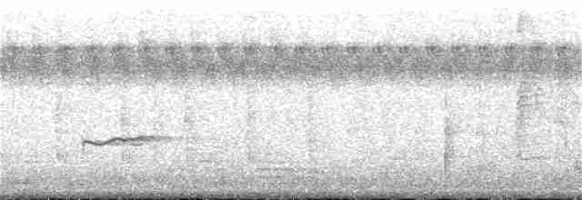 Gray-tailed Tattler - ML378325451