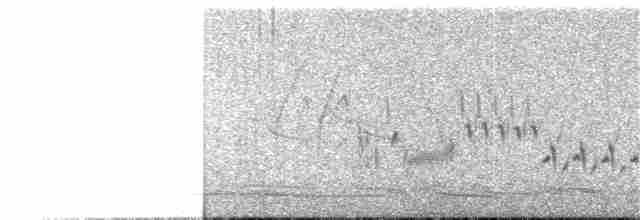 Elegant Crested-Tinamou - ML378327771