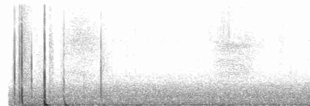 Gray Catbird - ML378339271