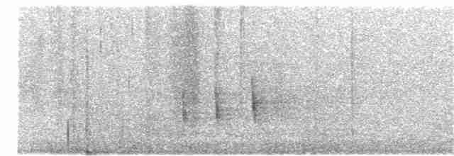 Дрізд-короткодзьоб плямистоволий - ML378607681