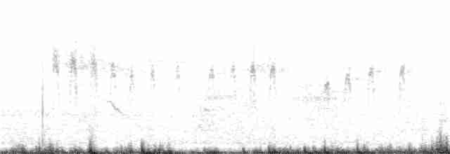 Плиска біла (підвид leucopsis) - ML37874511