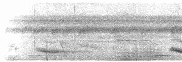 Channel-billed Toucan - ML378749351