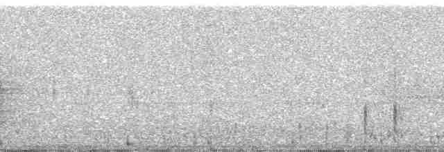 Sudandrosselhäherling - ML37882