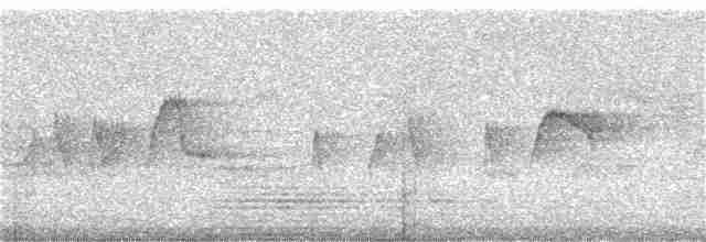 Kuzey Sorguçlu Sinekkapan (phaeocercus/tenuirostris) - ML378957571