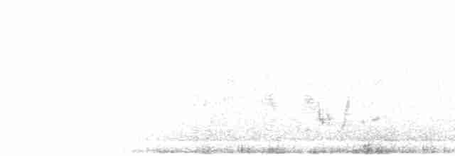 Manchurian Bush Warbler - ML378983381
