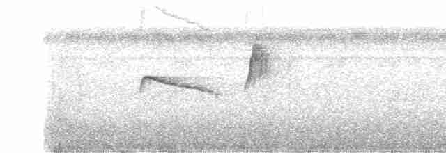 Ruddy-tailed Flycatcher - ML379201561