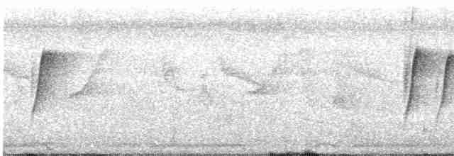 Fork-tailed Sunbird (Fork-tailed) - ML379596301