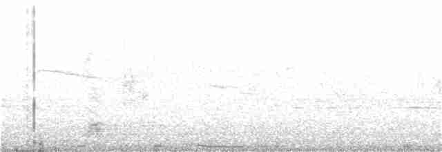 Black-crowned Night Heron - ML379796121