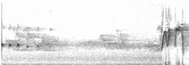 Acadian Flycatcher - ML379886461