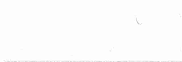 Гранатовогорлый колибри - ML379928311