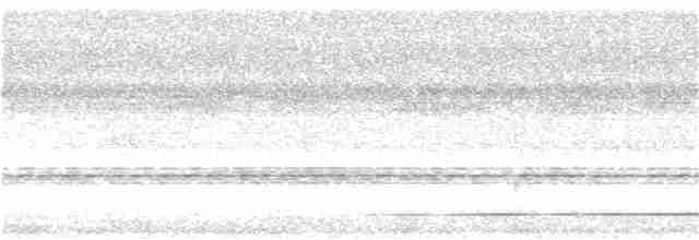 White-throated Tinamou - ML379988561