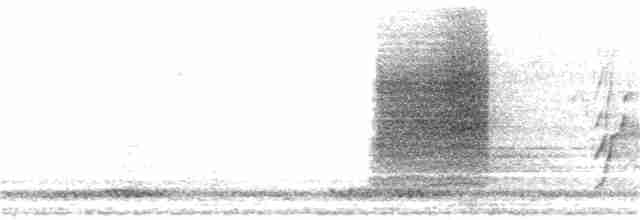 Blyth's Reed Warbler - ML380000141