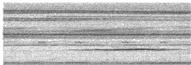 Венценосная куропатка - ML380000401