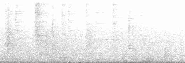 Blyth's Reed Warbler - ML380001911