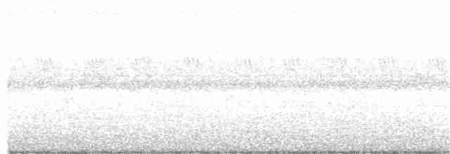 Травяная сипуха - ML380024691