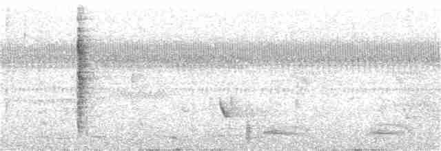 Blyth's Reed Warbler - ML380076251