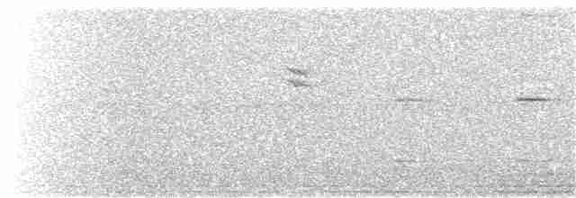 Spotted Flycatcher - ML380125451