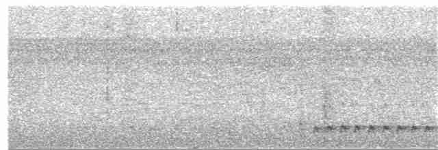 Grallaire oreillarde - ML380131641