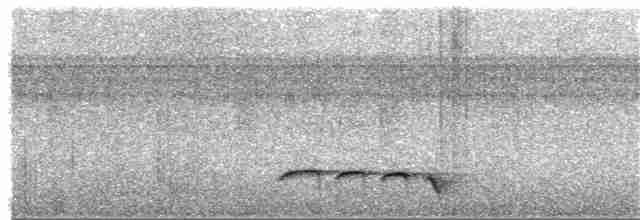 Grallaire oreillarde - ML380131851