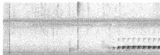 Grallaire oreillarde - ML380131871